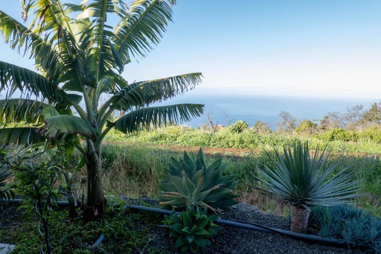 Hrlos Piratas - Ferien Haus La Palma - Good Wlan !! Тіхарафе Екстер'єр фото