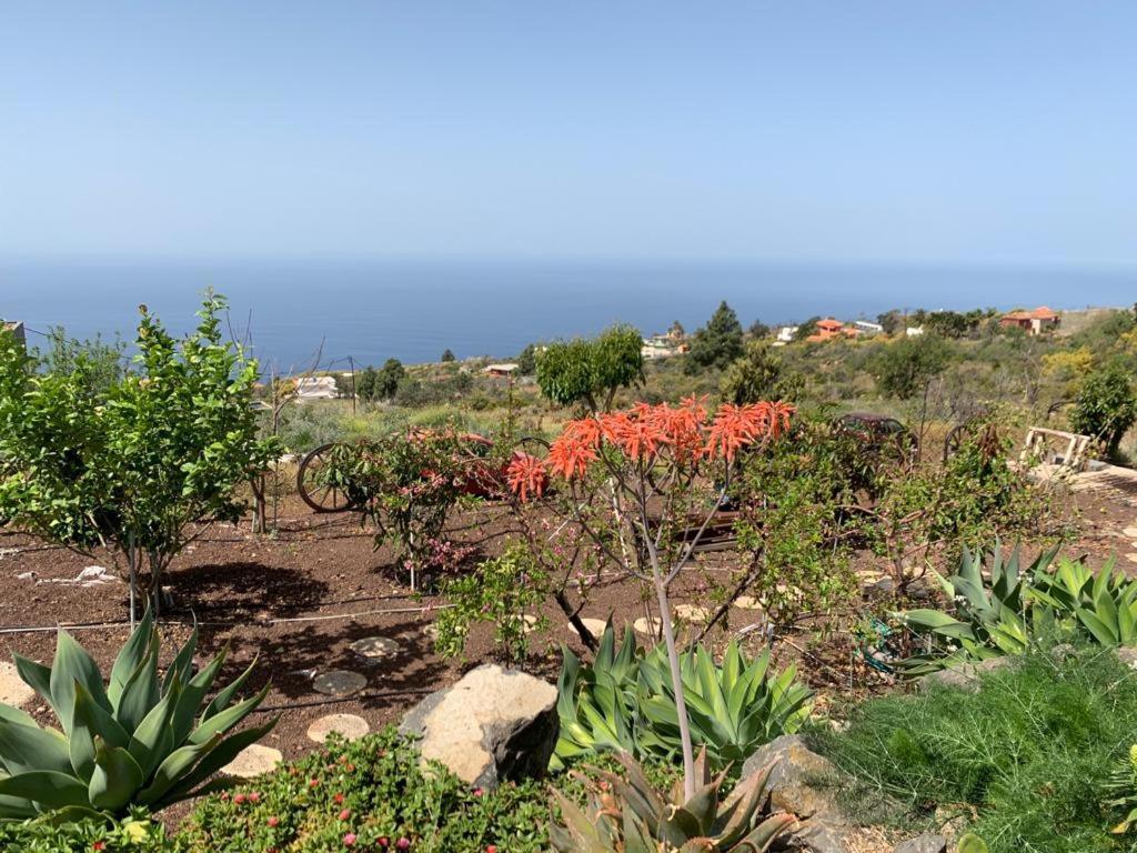 Hrlos Piratas - Ferien Haus La Palma - Good Wlan !! Тіхарафе Екстер'єр фото