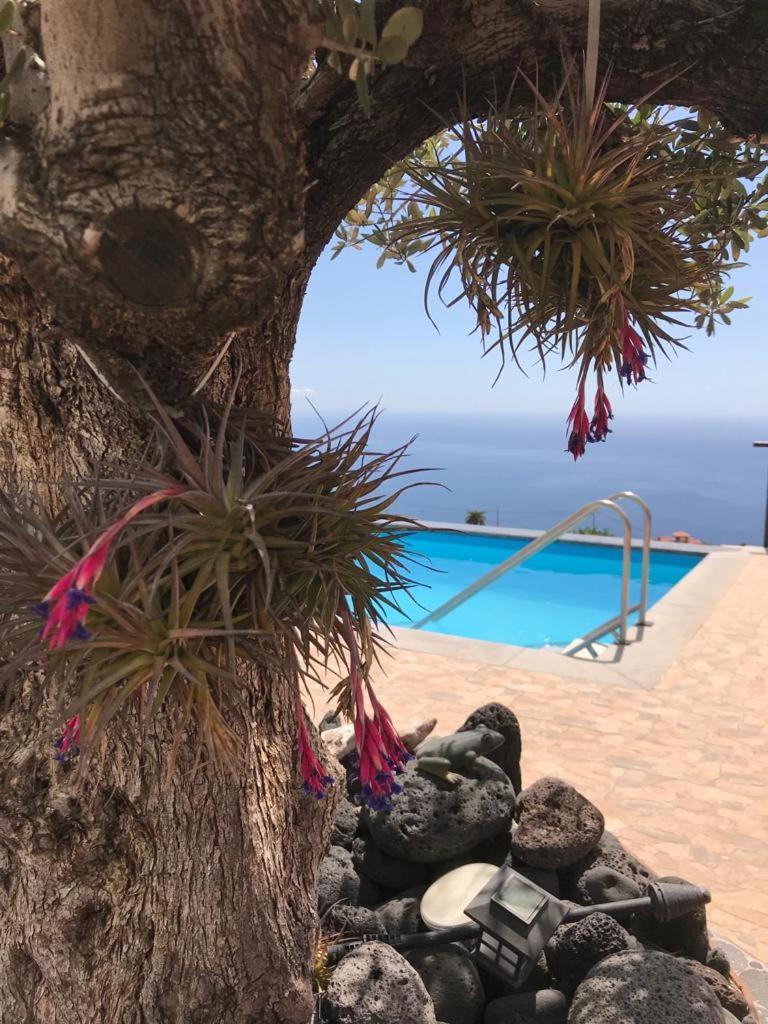 Hrlos Piratas - Ferien Haus La Palma - Good Wlan !! Тіхарафе Екстер'єр фото
